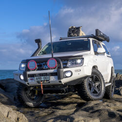 Amarok