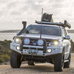 Amarok